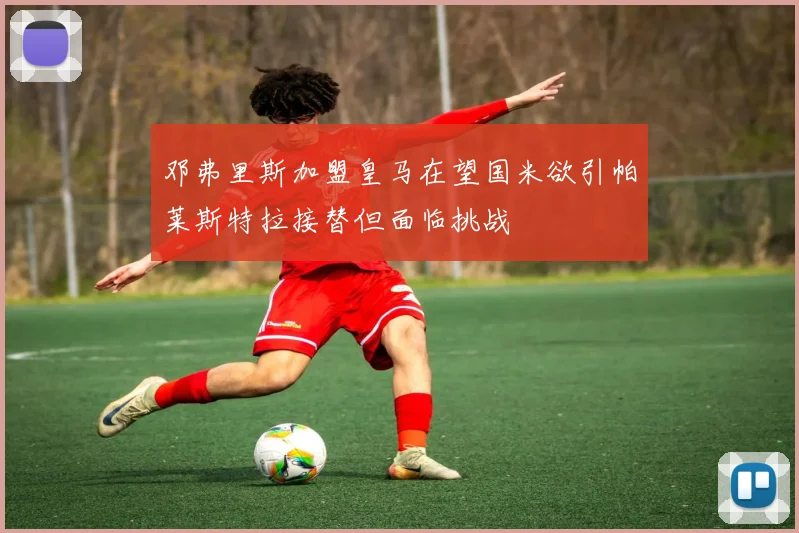 邓弗里斯加盟皇马在望国米欲引帕莱斯特拉接替但面临挑战